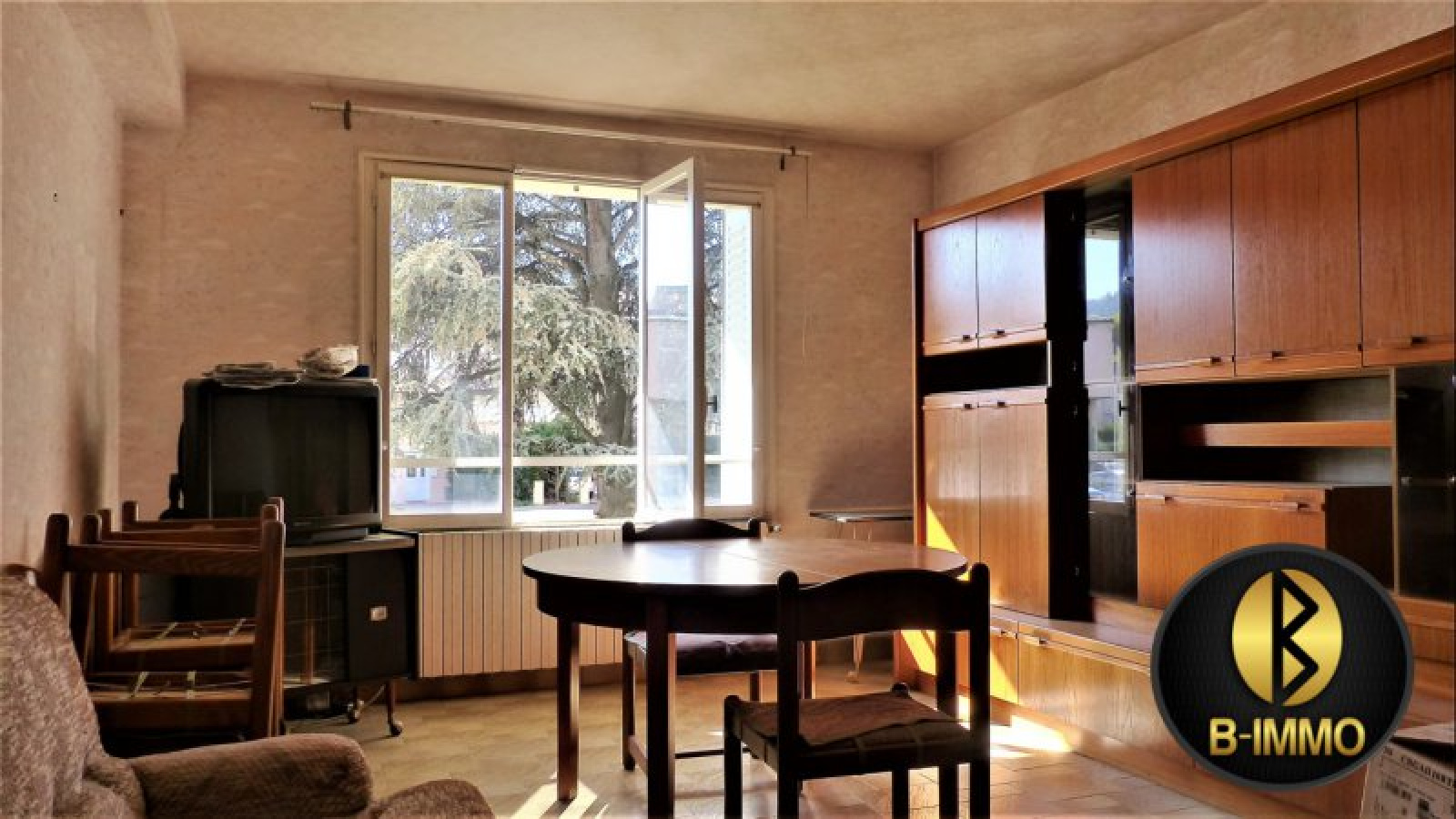 Image_, Appartement, Vienne, ref :1000518