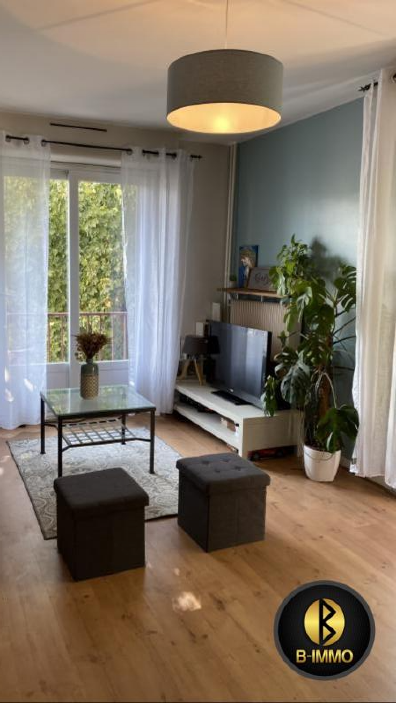Image_, Appartement, Lyon, ref :0901120
